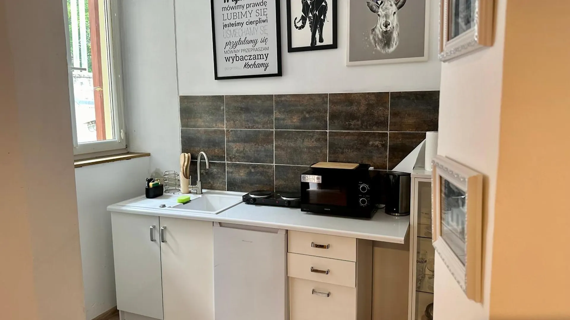 Wolnica Apartament 1 克拉科夫 公寓
